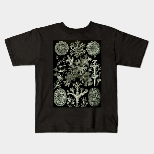 Lichen by Ernst Haeckel Kids T-Shirt by MasterpieceCafe
